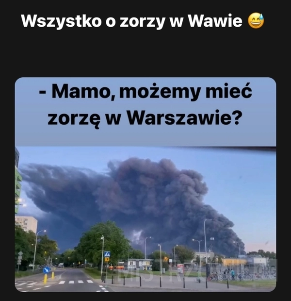 
    Zorza