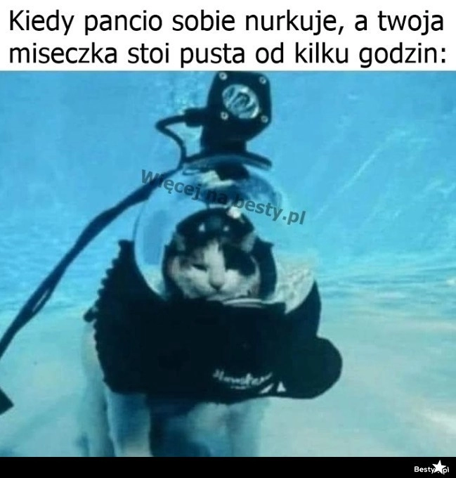 
    Może byś mnie tak nakarmił 