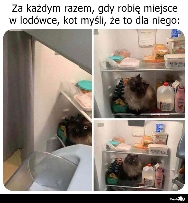 
    Miejsce w lodówce 