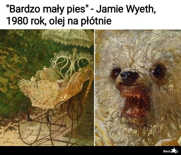 
    Bardzo mały pies 