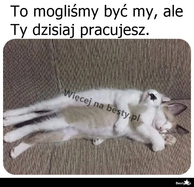 
    I nici z wylegiwania się 