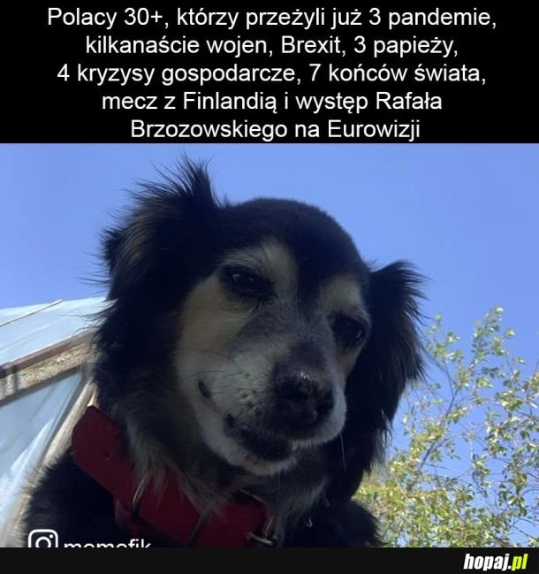 
    Jak żyć