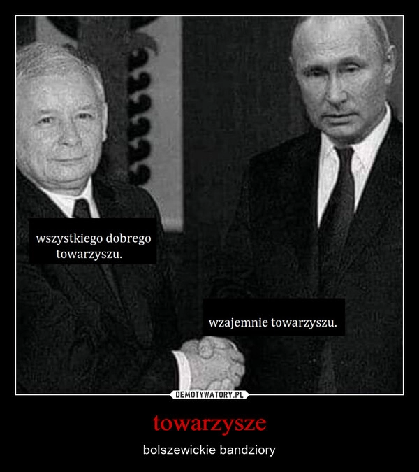 
    towarzysze