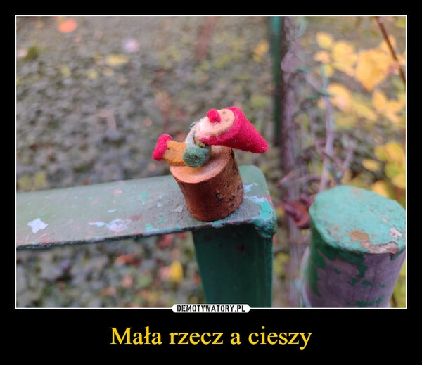 
    Mała rzecz a cieszy