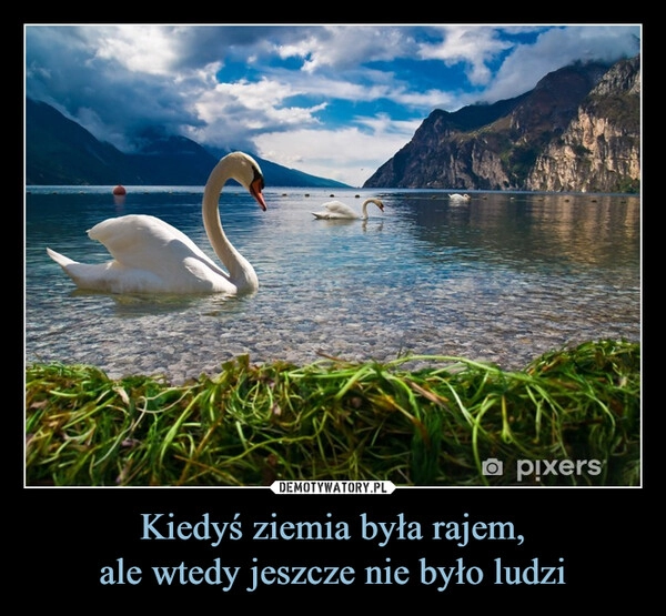 
    Kiedyś ziemia była rajem,
ale wtedy jeszcze nie było ludzi