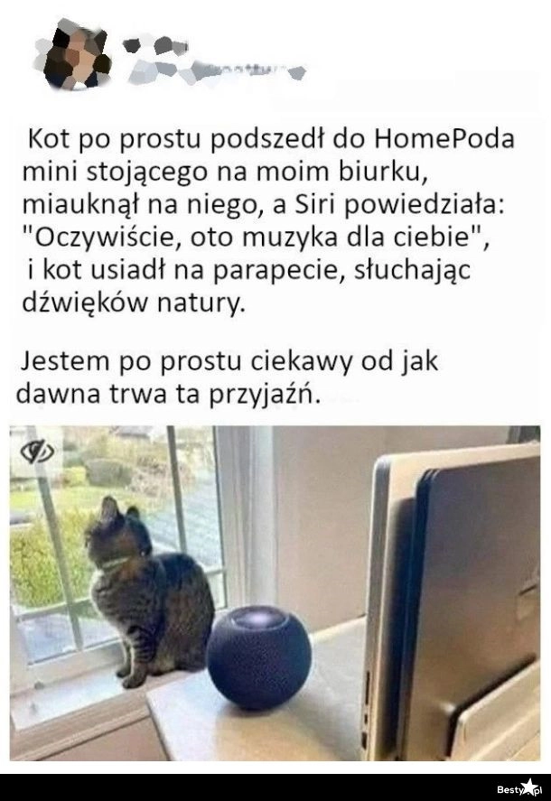 
    Nietypowa przyjaźń 