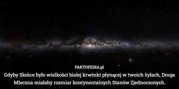 
    Gdyby Słońce było wielkości białej krwinki płynącej w twoich żyłach, Droga