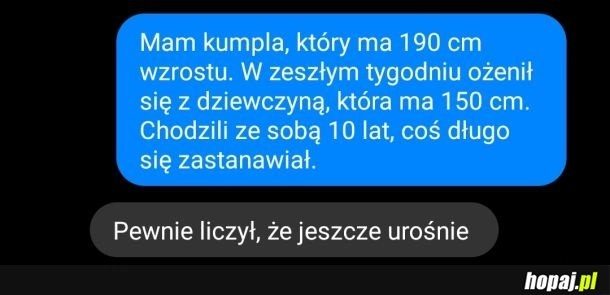 
    Śmieszek