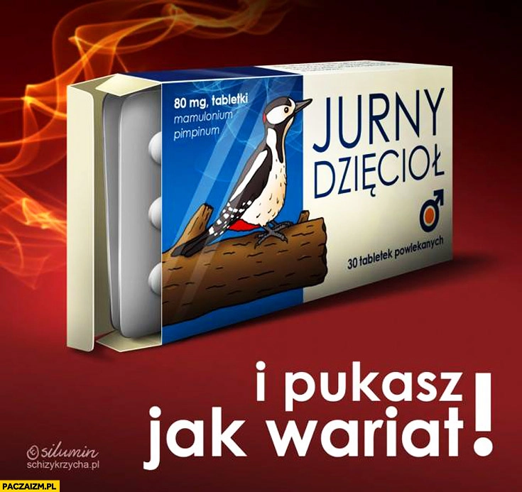 
    Jurny dzięcioł tabletki pukasz jak wariat