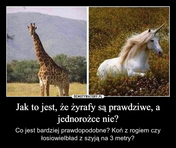 
    Jak to jest, że żyrafy są prawdziwe, a jednorożce nie?