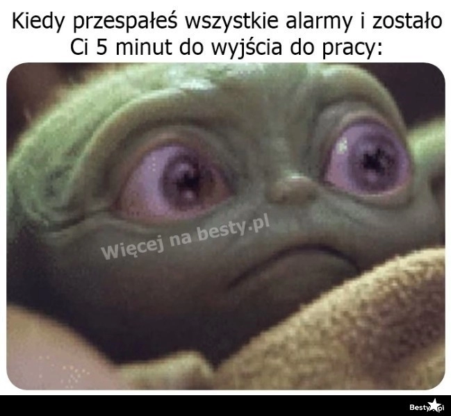 
    Te drzemki kosztowały zbyt wiele 