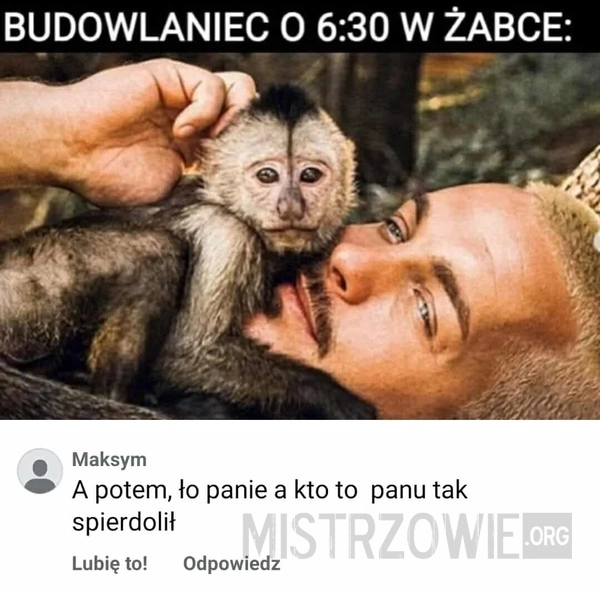 
    Małpka