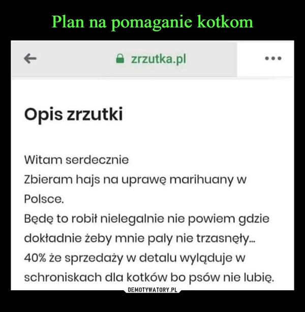 
    Plan na pomaganie kotkom