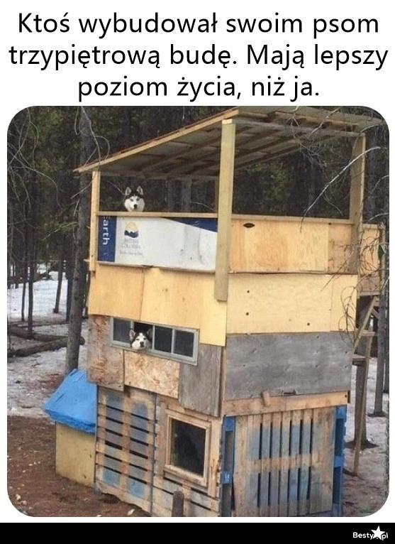 
    A niech mają 