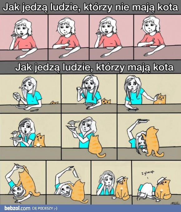 
    Jedzenie przy kocie