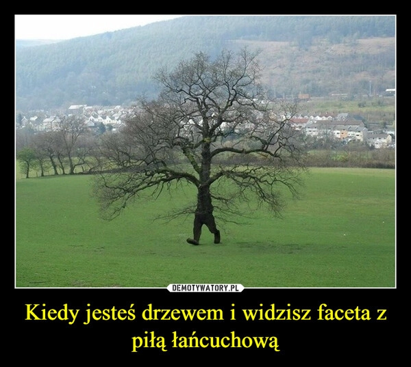 
    Kiedy jesteś drzewem i widzisz faceta z piłą łańcuchową