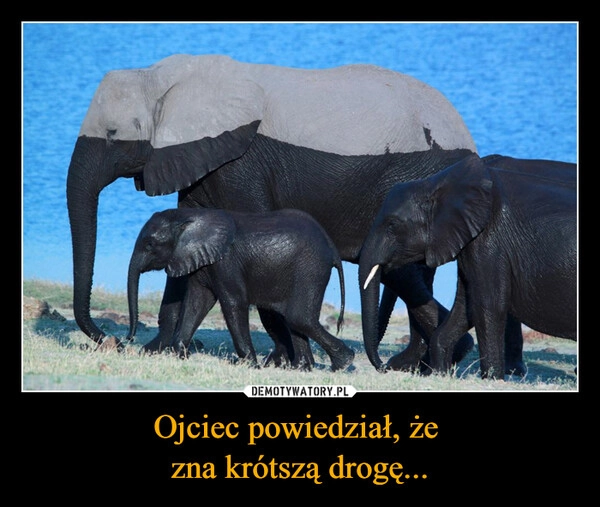 
    Ojciec powiedział, że 
zna krótszą drogę...