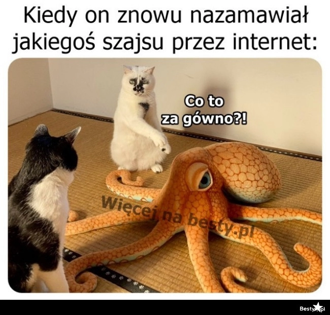 
    A teraz się tłumacz 