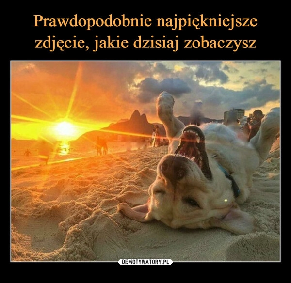 
    Prawdopodobnie najpiękniejsze zdjęcie, jakie dzisiaj zobaczysz