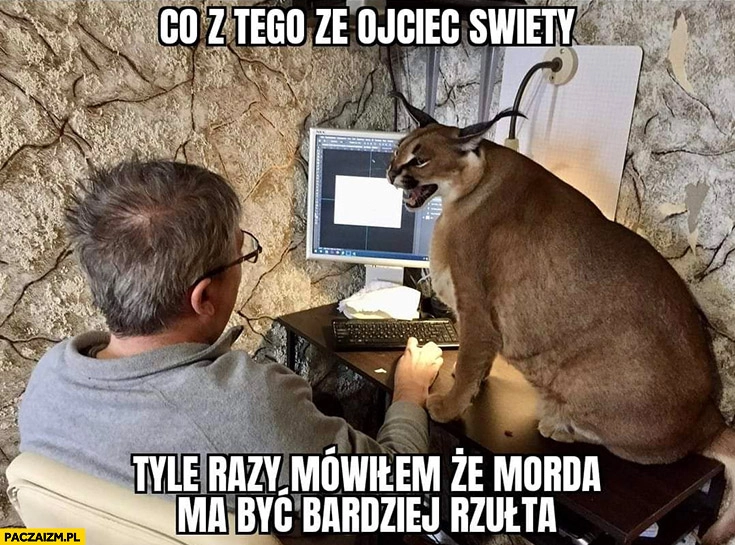 
    Co z tego, że ojciec święty tyle razy mówiłem, że morda ma być bardziej żółta dziki kot