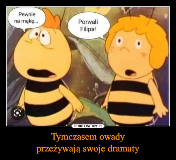 
    Tymczasem owady
przeżywają swoje dramaty