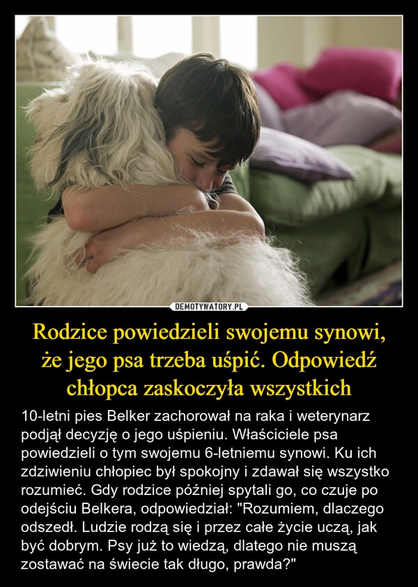 
    Rodzice powiedzieli swojemu synowi,
że jego psa trzeba uśpić. Odpowiedź chłopca zaskoczyła wszystkich