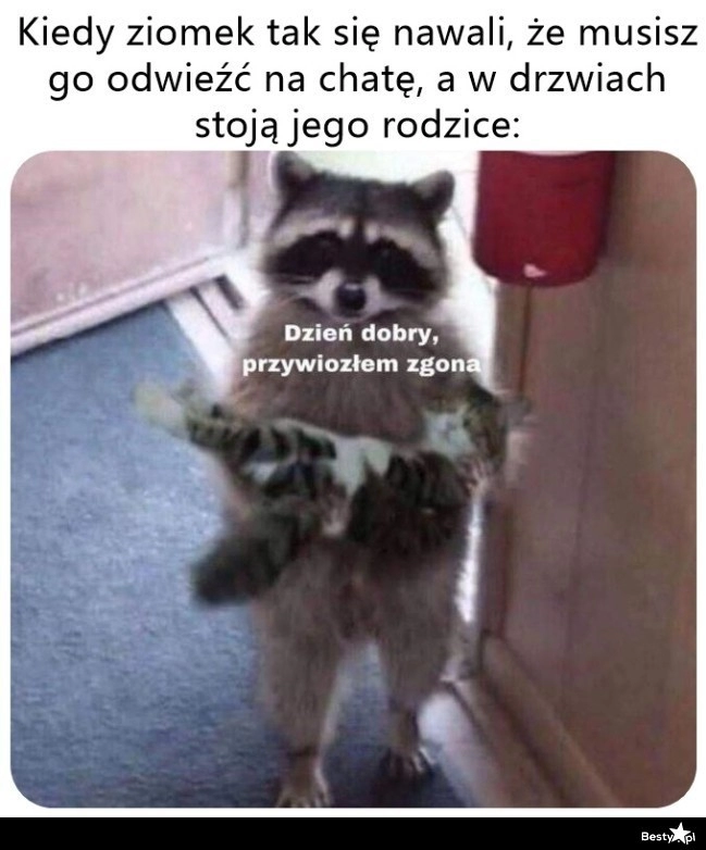 
    Świeża dostawa 