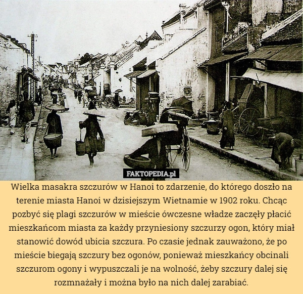 
    Wielka masakra szczurów w Hanoi to zdarzenie, do którego doszło na terenie