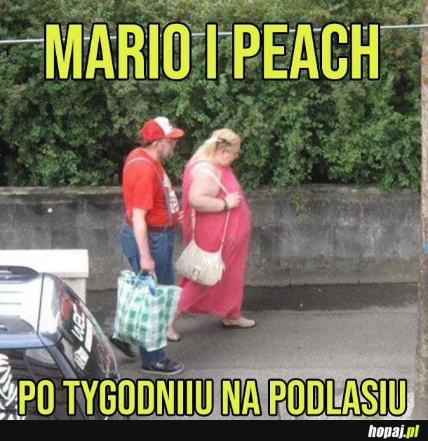 
    Mario i Peach