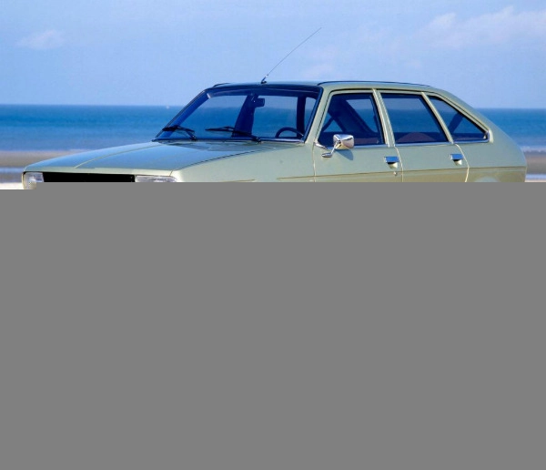 
    W 1980 roku w zakładach Dacii zmontowano niewielką liczbę modelu Renault