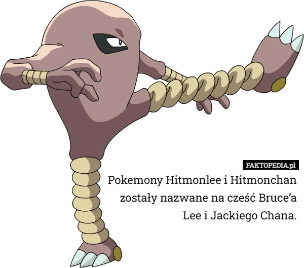 
    Pokemony Hitmonlee i Hitmonchan zostały nazwane na cześć Bruce’a Lee i...