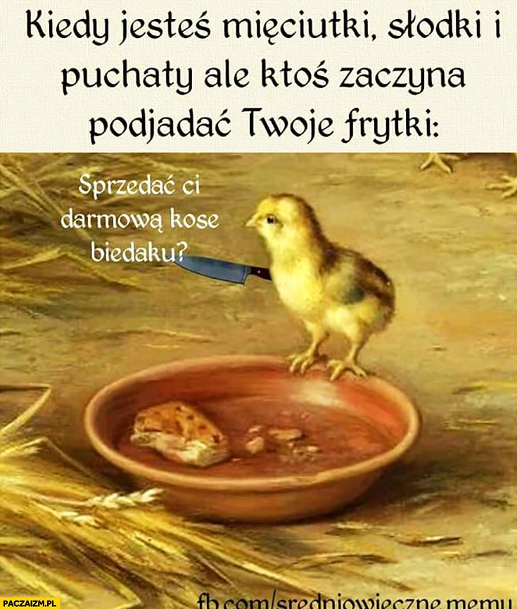 
    Kiedy jesteś mięciutki, słodki i puchaty ale ktoś zaczyna podjadać Twoje frytki: sprzedać Ci darmową kosę biedaku? Ptak ptaszek