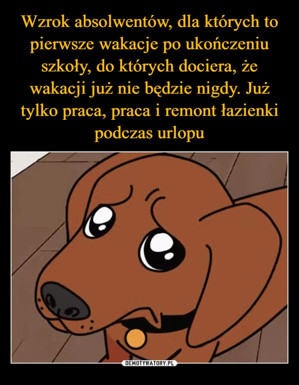 
    Wzrok absolwentów, dla których to pierwsze wakacje po ukończeniu szkoły, do których dociera, że wakacji już nie będzie nigdy. Już tylko praca, praca i remont łazienki podczas urlopu