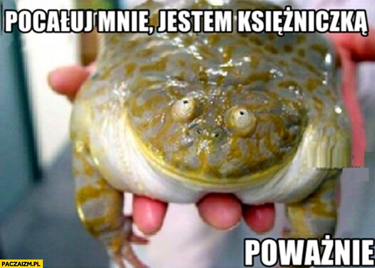 Pocałuj mnie jestem księżniczką poważnie żaba