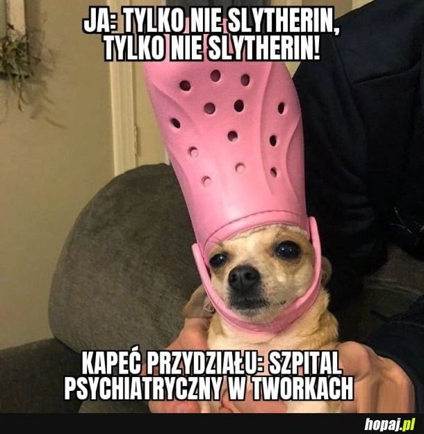 
    Kapeć przydziału