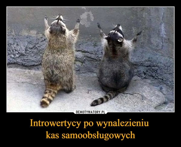 
    Introwertycy po wynalezieniu 
kas samoobsługowych