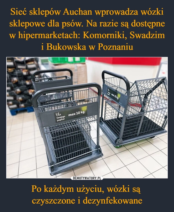 
    Sieć sklepów Auchan wprowadza wózki sklepowe dla psów. Na razie są dostępne w hipermarketach: Komorniki, Swadzim i Bukowska w Poznaniu Po każdym użyciu, wózki są 
czyszczone i dezynfekowane