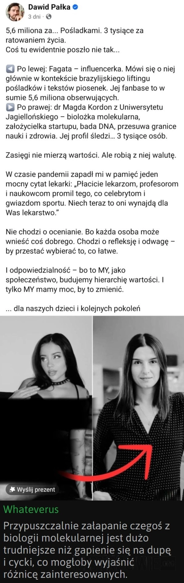 
    Zasięgi