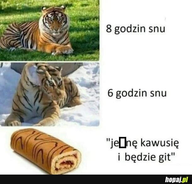 
    Poskładało