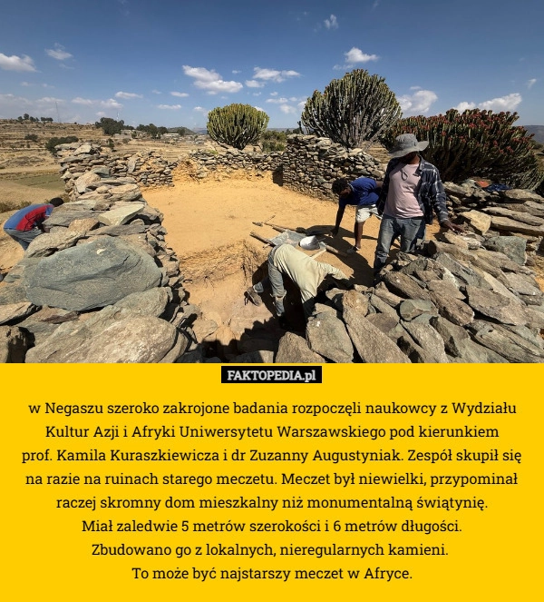 
     w Negaszu szeroko zakrojone badania rozpoczęli naukowcy z Wydziału Kultur