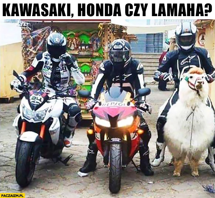 
    Kawasaki Honda czy Lamaha lama