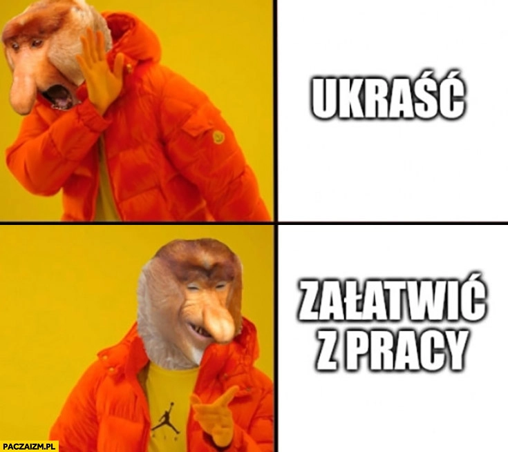 
    Ukraść nie zamiast tego mówi się załatwić z pracy nosacz Drake