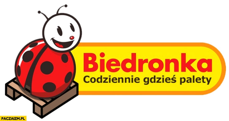 
    Biedronka codziennie gdzieś palety przeróbka logo