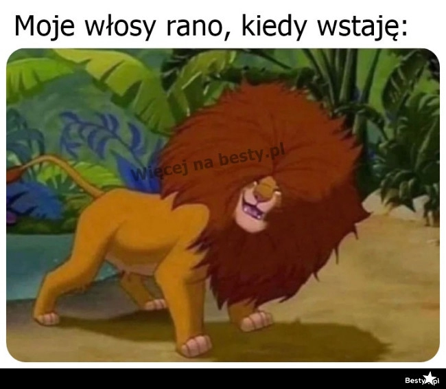 
    Włosy o poranku 