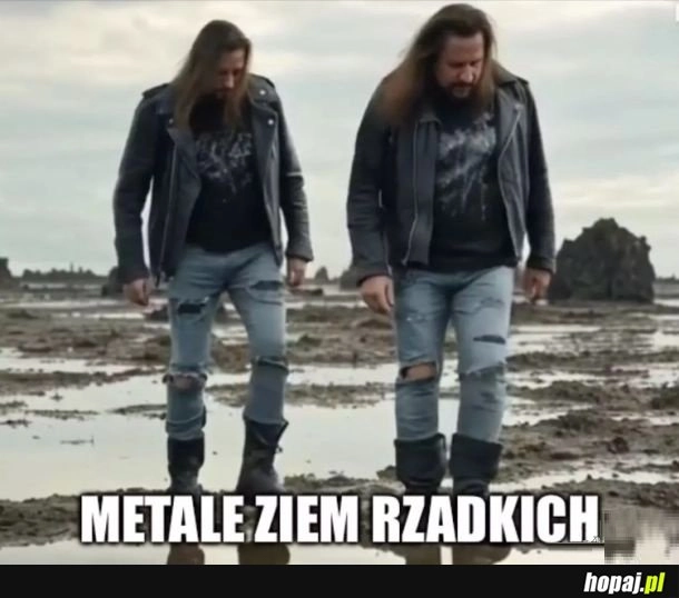
    Zgadza się