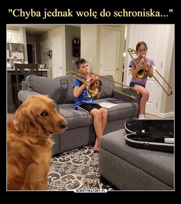 
    "Chyba jednak wolę do schroniska..."