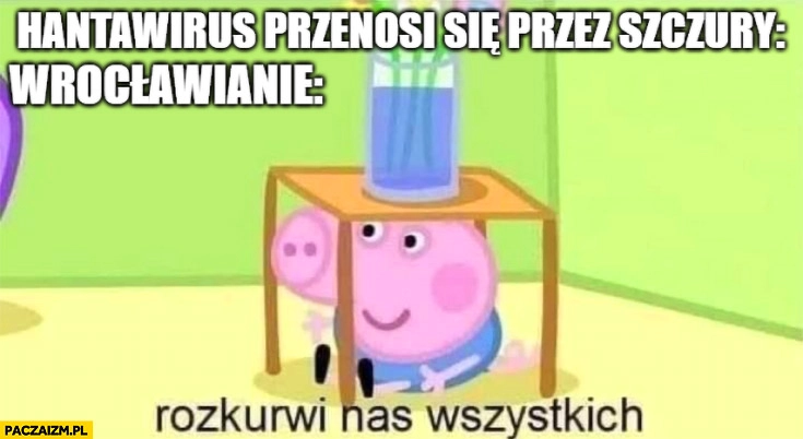 
    Hantawirus przenosi się przez szczury wrocławianie rozkurni nas wszystkich świnka Peppa