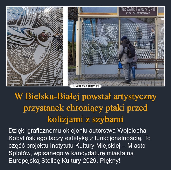 
    W Bielsku-Białej powstał artystyczny przystanek chroniący ptaki przed kolizjami z szybami