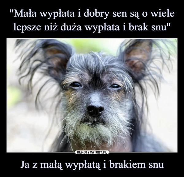 
    ''Mała wypłata i dobry sen są o wiele lepsze niż duża wypłata i brak snu'' Ja z małą wypłatą i brakiem snu