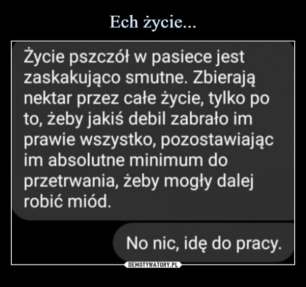 
    Ech życie...